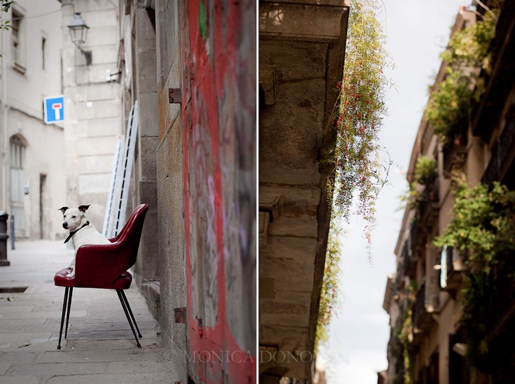 burlington-vermont-photographer-monica-donovan-blog-barcelona-gothic-quarter-spain-dog-alley-chair